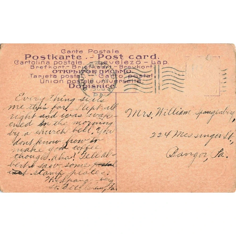 Antique Embossed Postcard Red Pink Roses Flowers Floral Botanical Art c1910